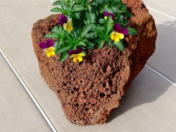 火山岩の植木鉢