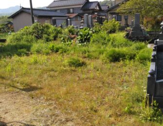 こちらが新しい墓地です