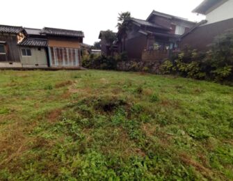 敷地内の雑草がとてもよく生えています