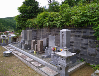 背面ブロックの上から草が覆いかぶさるように生えています