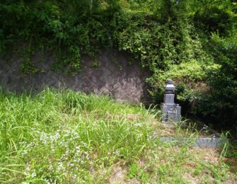 墓地廻りに草木が覆い茂っていましたので、伐採処分しました