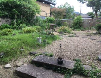 生い茂る草木の伐採・剪定