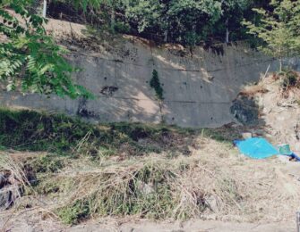 まずは墓地の草刈りから